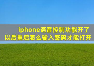 iphone语音控制功能开了以后重启怎么输入密码才能打开