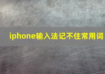 iphone输入法记不住常用词