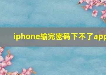 iphone输完密码下不了app