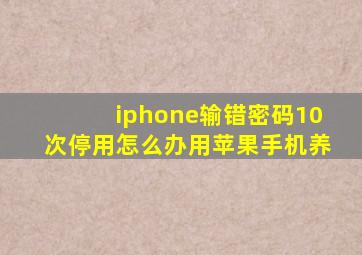 iphone输错密码10次停用怎么办用苹果手机养