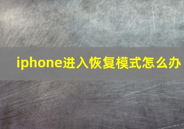 iphone进入恢复模式怎么办