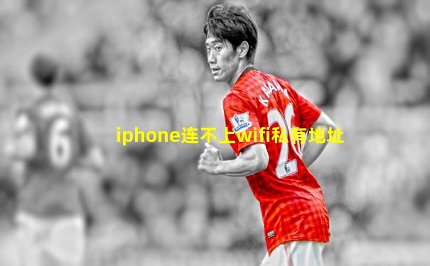 iphone连不上wifi私有地址