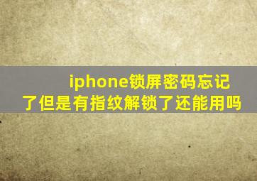 iphone锁屏密码忘记了但是有指纹解锁了还能用吗