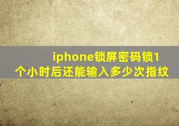 iphone锁屏密码锁1个小时后还能输入多少次指纹