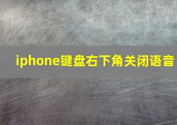 iphone键盘右下角关闭语音