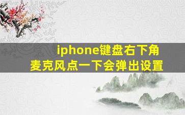 iphone键盘右下角麦克风点一下会弹出设置