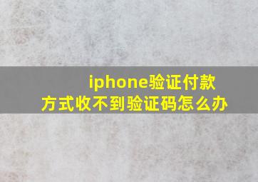 iphone验证付款方式收不到验证码怎么办