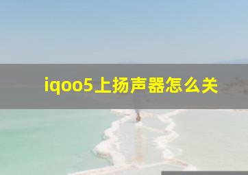 iqoo5上扬声器怎么关