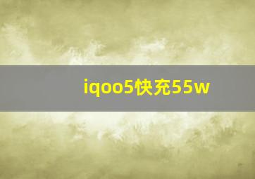 iqoo5快充55w