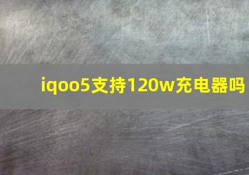 iqoo5支持120w充电器吗