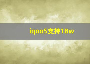 iqoo5支持18w