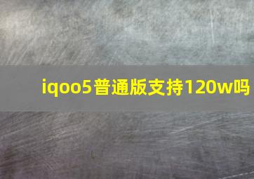 iqoo5普通版支持120w吗