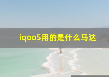 iqoo5用的是什么马达