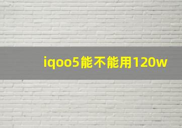 iqoo5能不能用120w