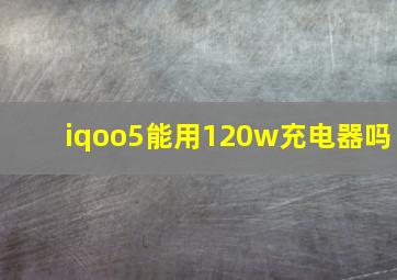 iqoo5能用120w充电器吗