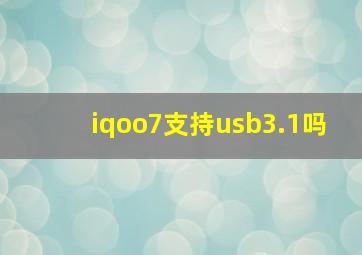 iqoo7支持usb3.1吗