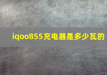 iqoo855充电器是多少瓦的