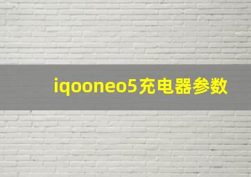 iqooneo5充电器参数