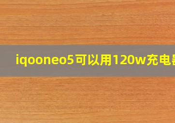 iqooneo5可以用120w充电器吗