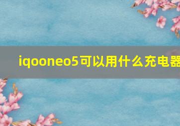 iqooneo5可以用什么充电器