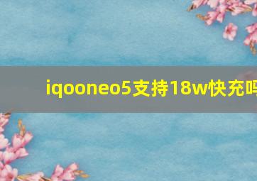 iqooneo5支持18w快充吗