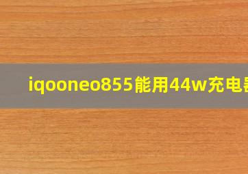 iqooneo855能用44w充电器吗