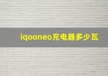 iqooneo充电器多少瓦