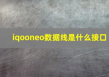 iqooneo数据线是什么接口