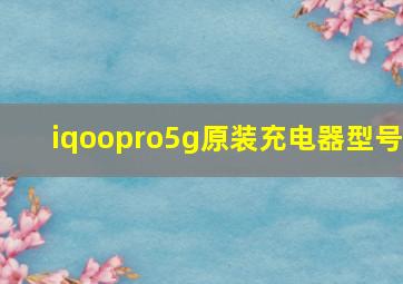 iqoopro5g原装充电器型号