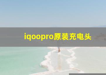 iqoopro原装充电头