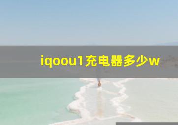 iqoou1充电器多少w