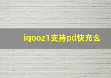 iqooz1支持pd快充么