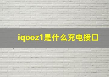 iqooz1是什么充电接口