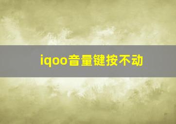 iqoo音量键按不动