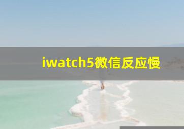 iwatch5微信反应慢