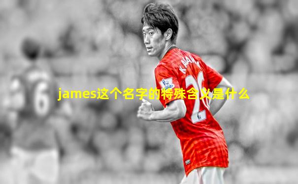 james这个名字的特殊含义是什么