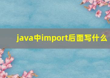 java中import后面写什么