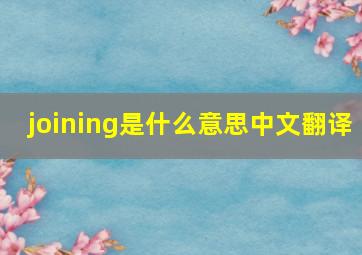 joining是什么意思中文翻译