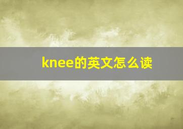 knee的英文怎么读