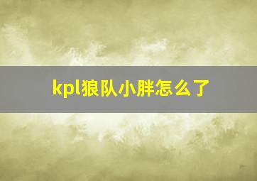 kpl狼队小胖怎么了