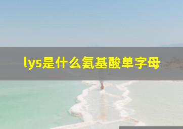 lys是什么氨基酸单字母