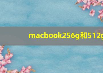 macbook256g和512g