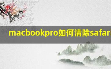 macbookpro如何清除safari缓存