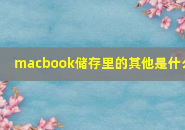 macbook储存里的其他是什么