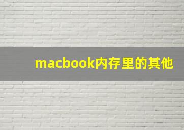 macbook内存里的其他