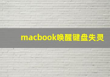 macbook唤醒键盘失灵