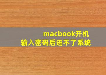 macbook开机输入密码后进不了系统