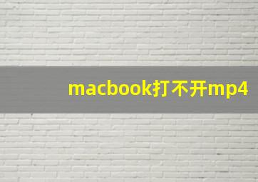 macbook打不开mp4