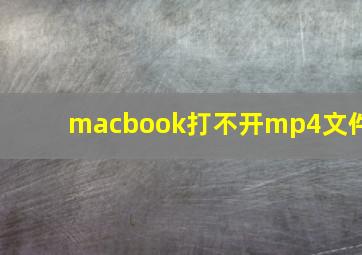 macbook打不开mp4文件