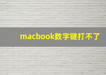 macbook数字键打不了